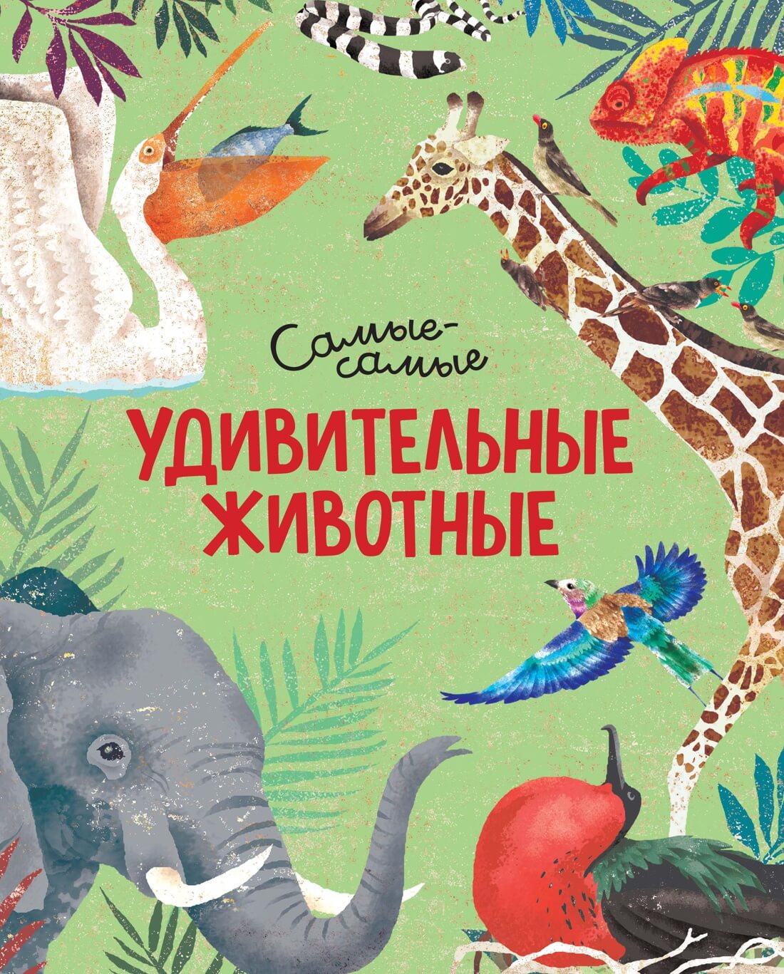 Удивительные животные