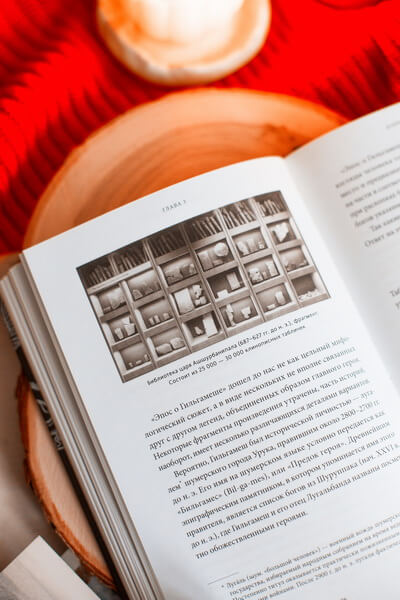 Шумерские мифы. От Всемирного потопа и эпоса о Гильгамеше до бога Энки и птицы Анзуд