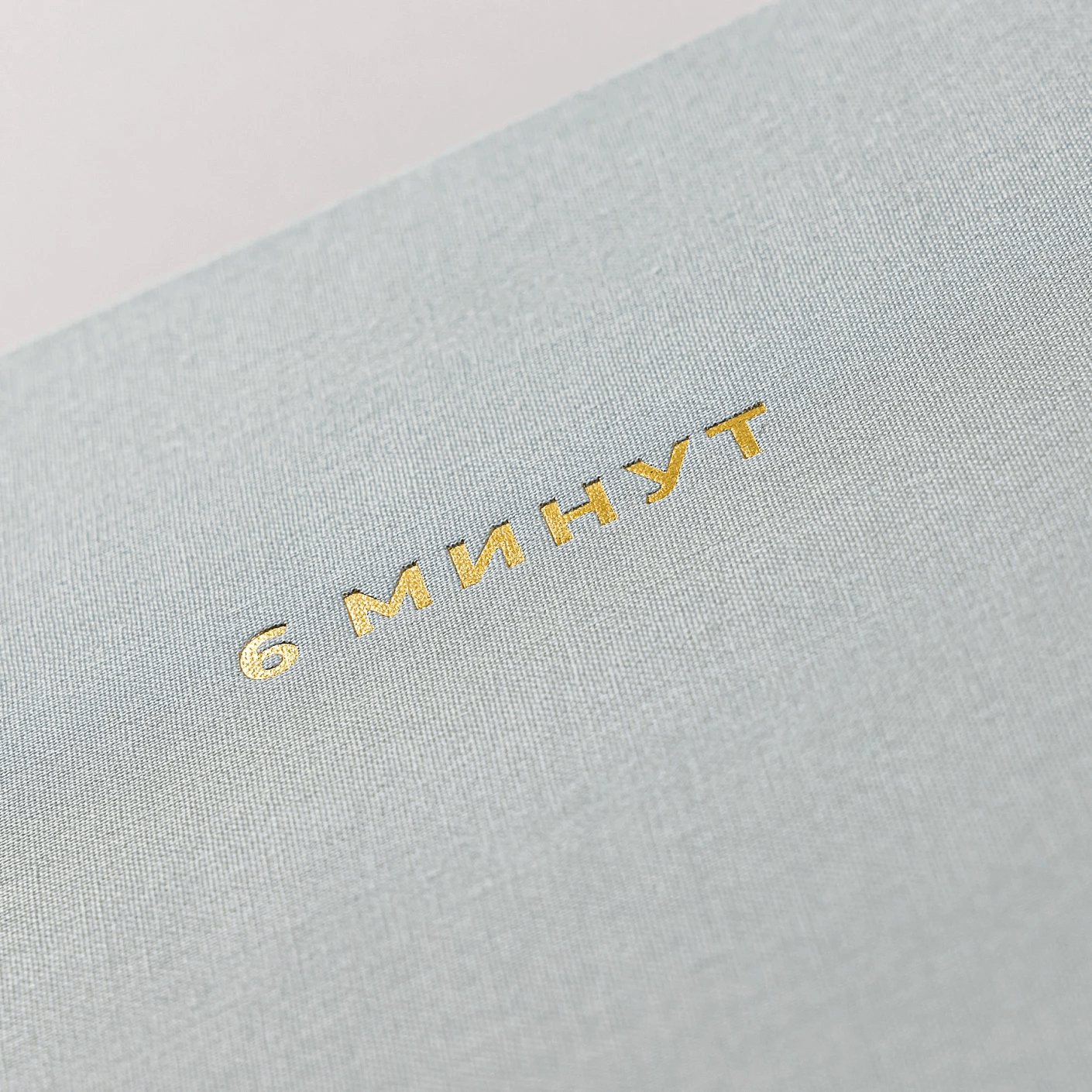 6 минут. Ежедневник, который изменит вашу жизнь (мята)