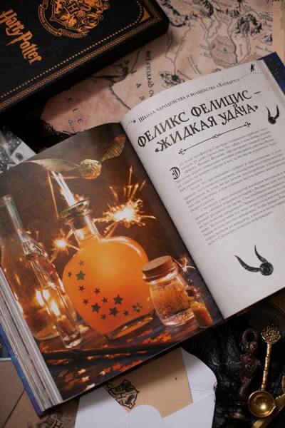 Большая поваренная книга Гарри Поттера