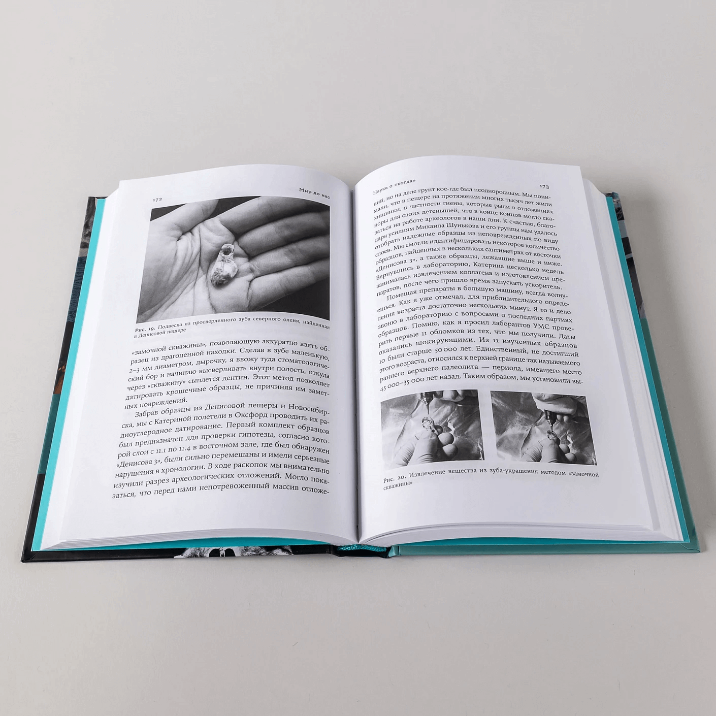 Мир до нас: новый взгляд на происхождение человека