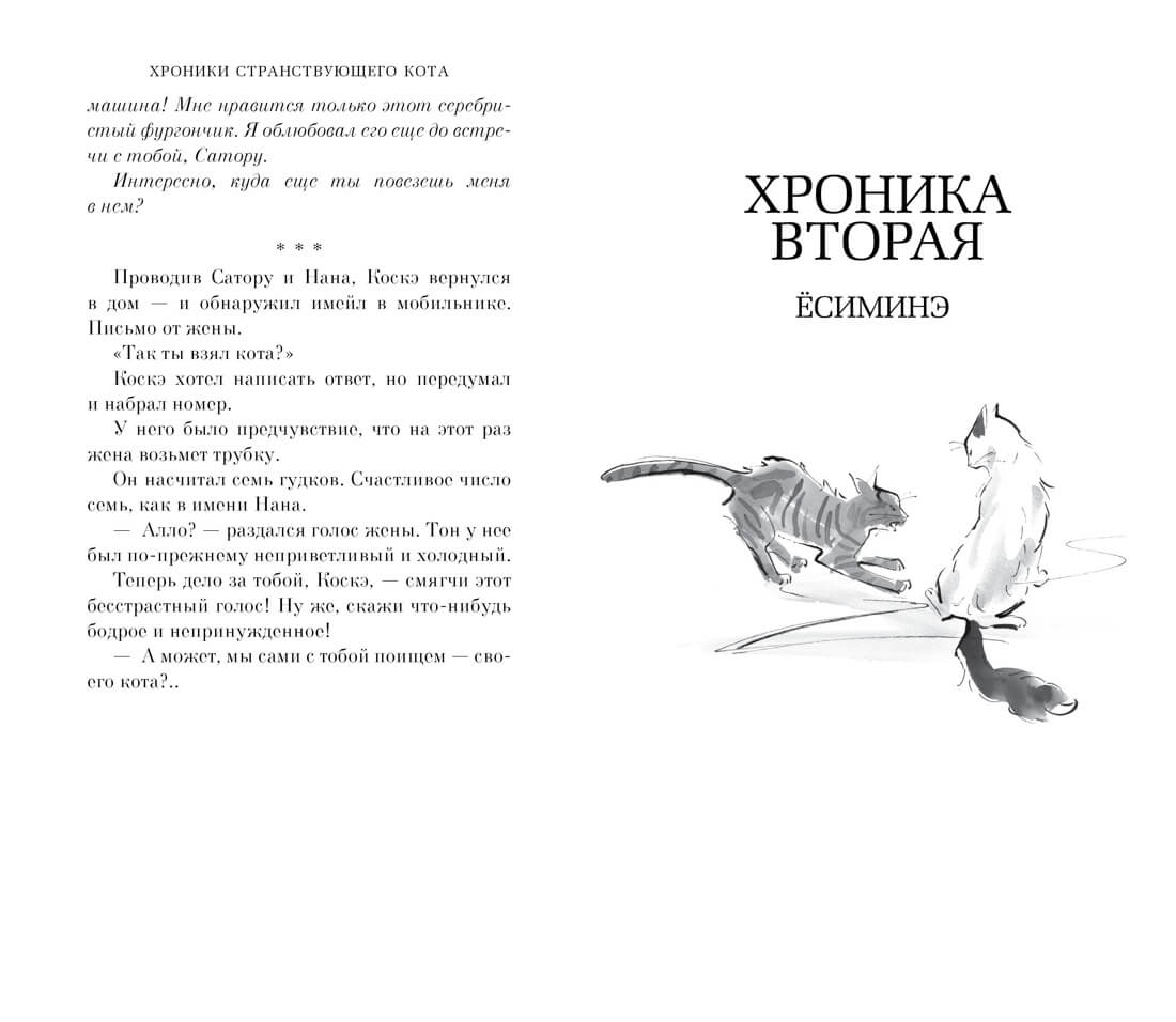 Хроники странствующего кота