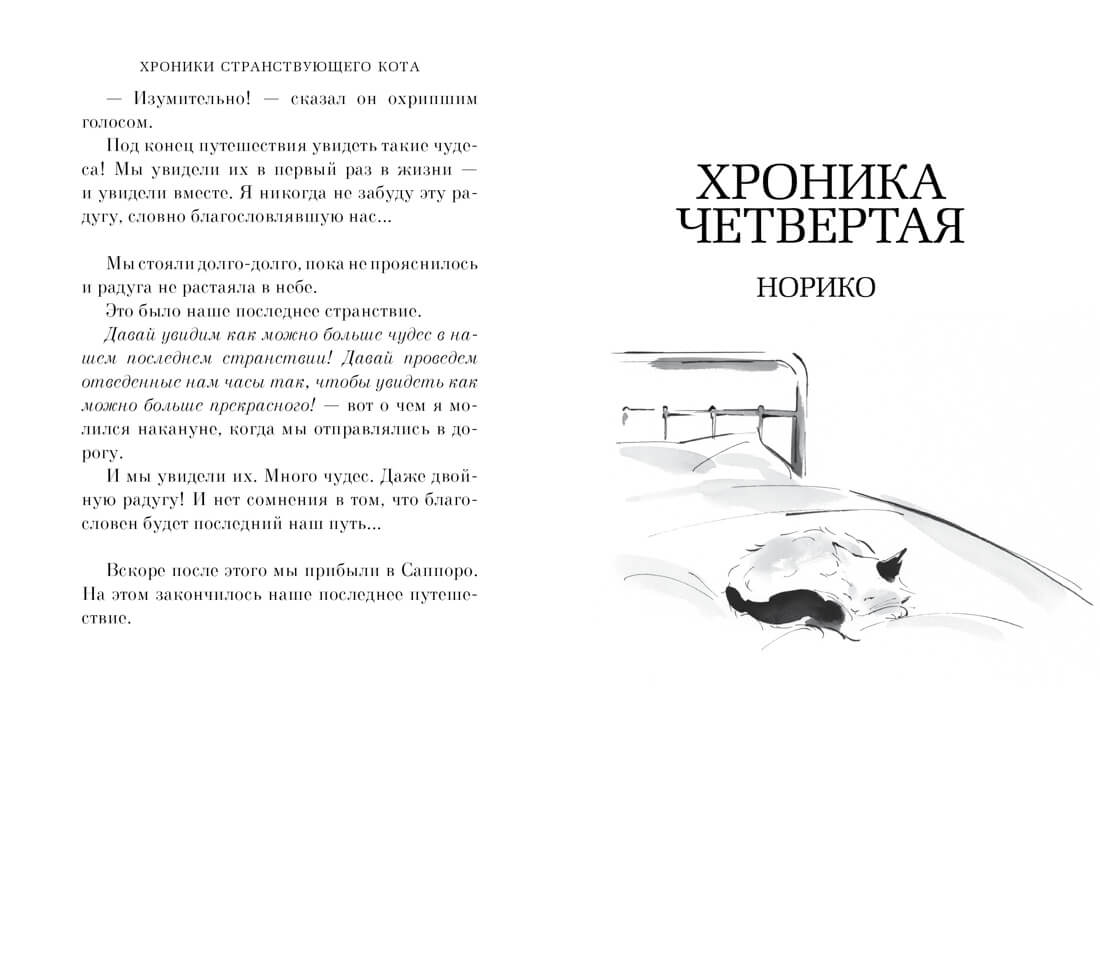 Хроники странствующего кота