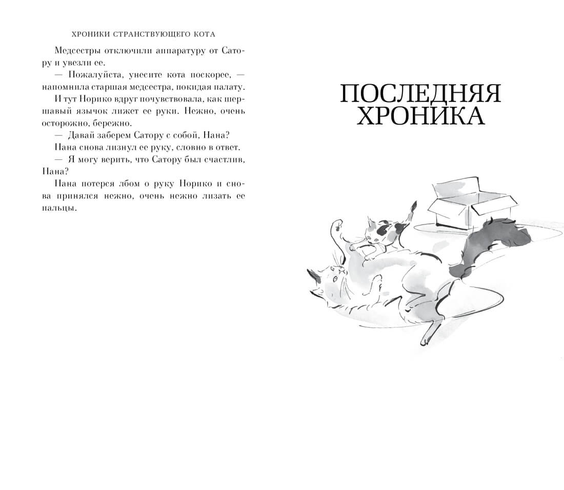 Хроники странствующего кота