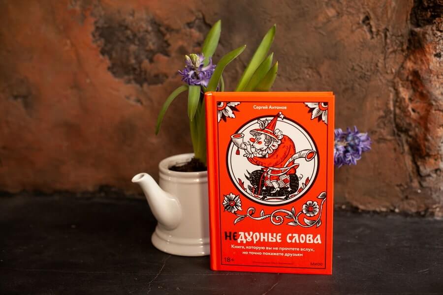 Недурные слова. Книга, которую вы не прочтёте вслух, но точно покажете друзьям