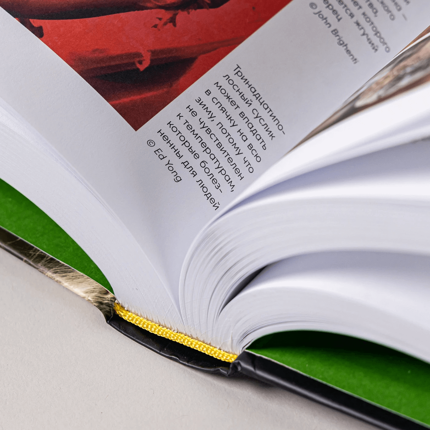 Необъятный мир: как животные ощущают скрытую от нас реальность