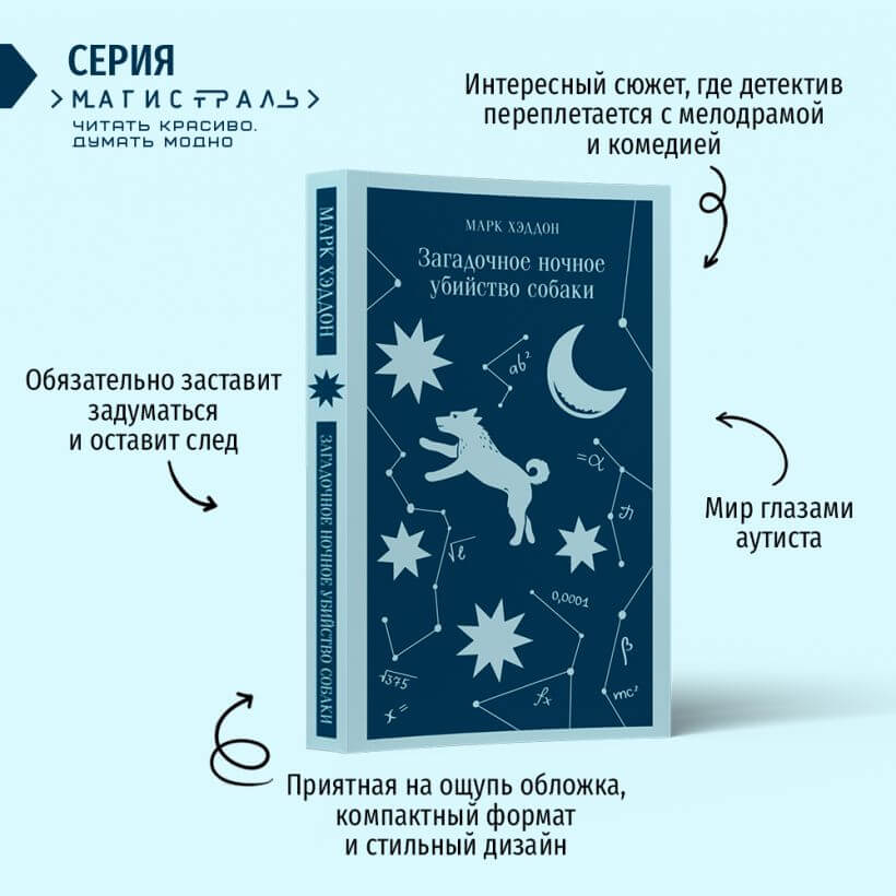 Загадочное ночное убийство собаки