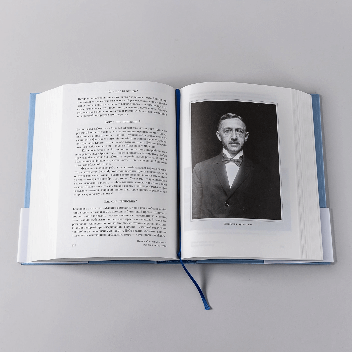 Полка: О главных книгах русской литературы (тома 3,4)