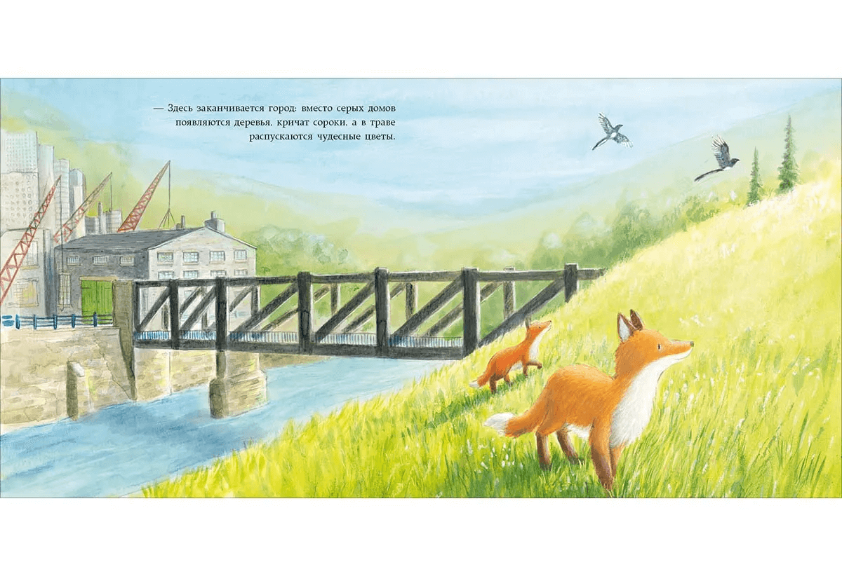 Лисёнок в городе