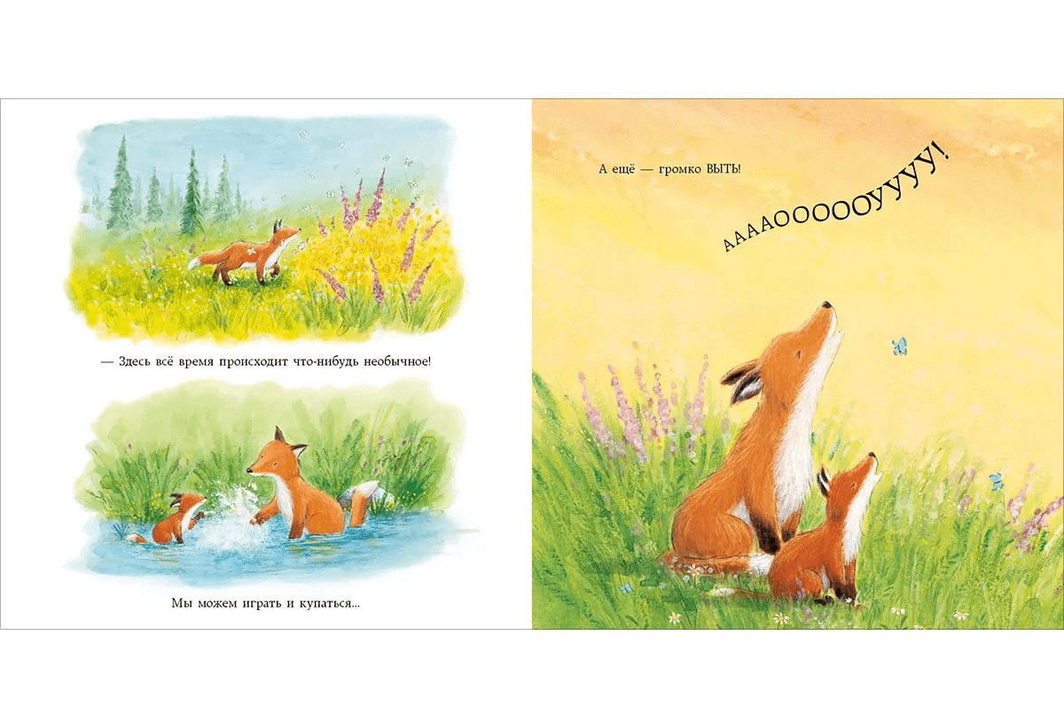 Лисёнок в городе