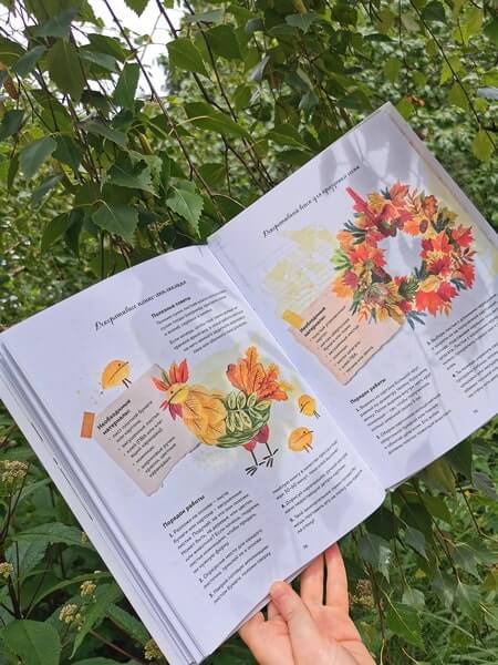 Мой гербарий. Листья деревьев