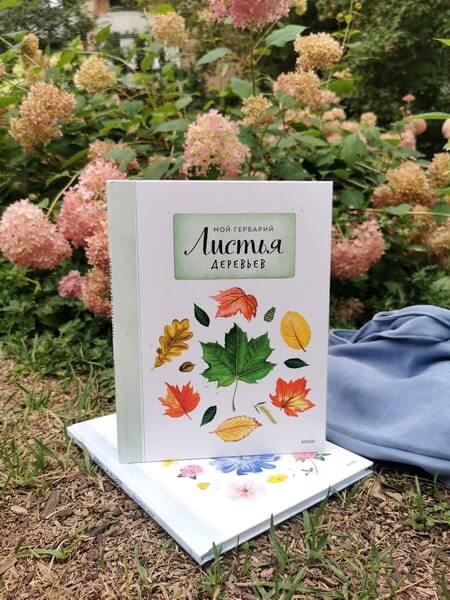 Мой гербарий. Листья деревьев
