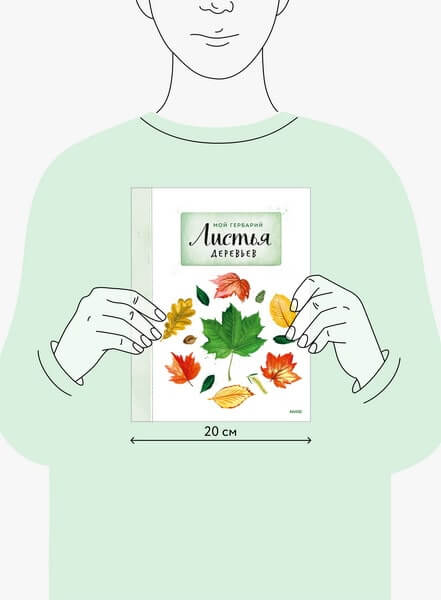 Мой гербарий. Листья деревьев