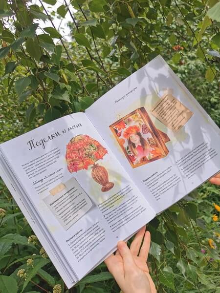 Мой гербарий. Листья деревьев