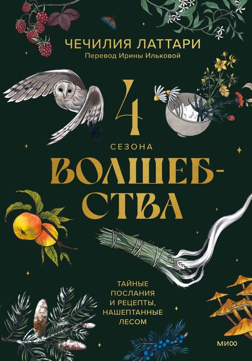 Четыре сезона волшебства. Тайные послания и рецепты, нашёптанные лесом