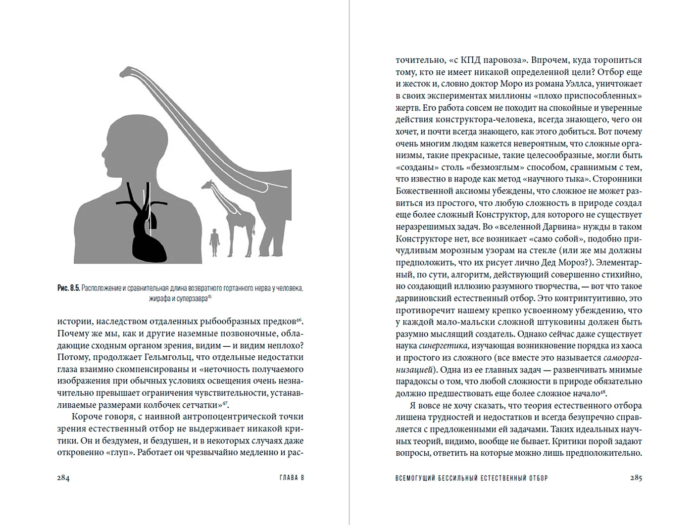 Мёртвый лев: Посмертная биография Дарвина и его идей