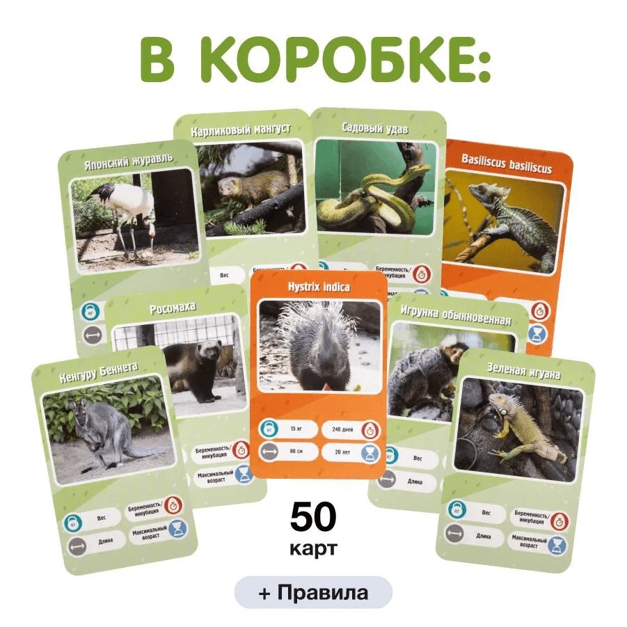 Это факт! Зоопарк