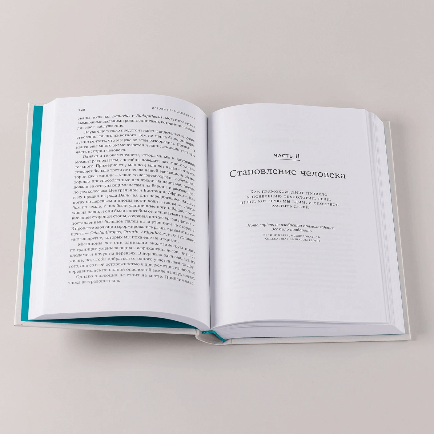 Первые шаги: Как прямохождение сделало нас людьми