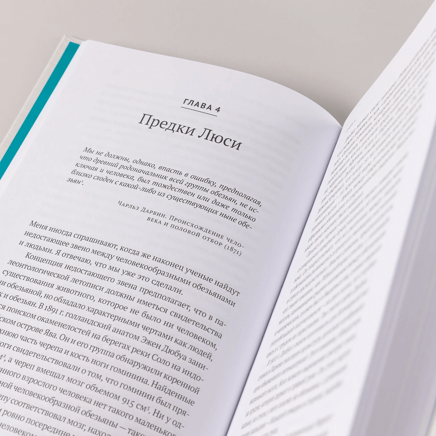 Первые шаги: Как прямохождение сделало нас людьми