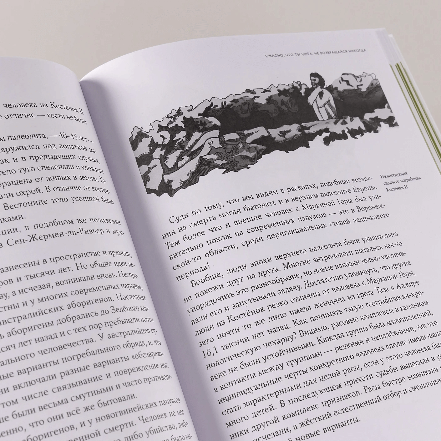 Байки из грота: 50 историй из жизни древних людей