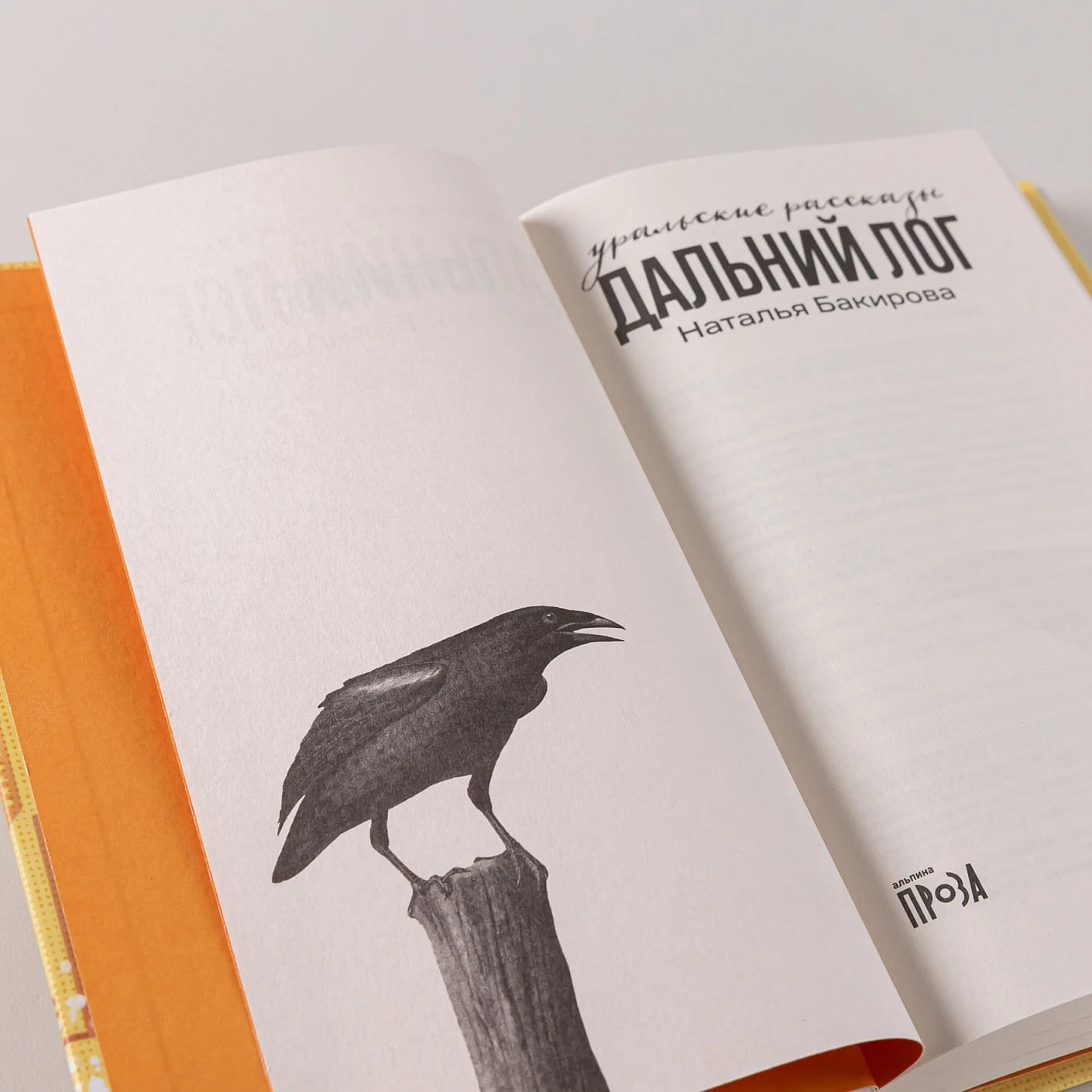 Дальний Лог: Уральские рассказы