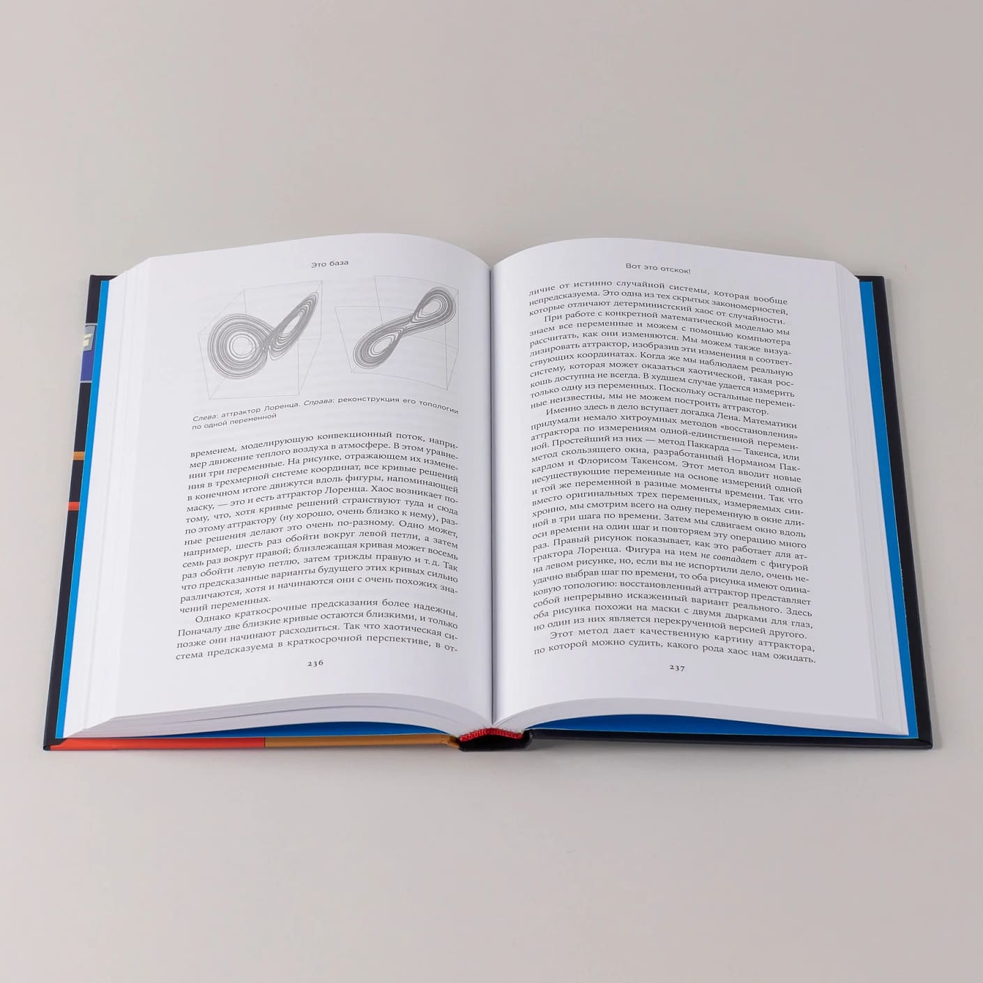 Это база: Зачем нужна математика в повседневной жизни