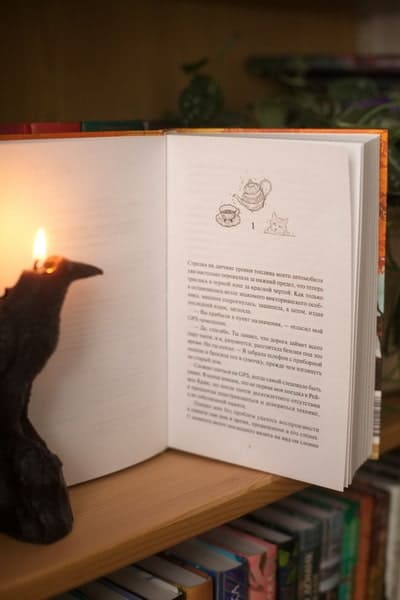 Книжный магазинчик ведьмы. Убийства и чаепития