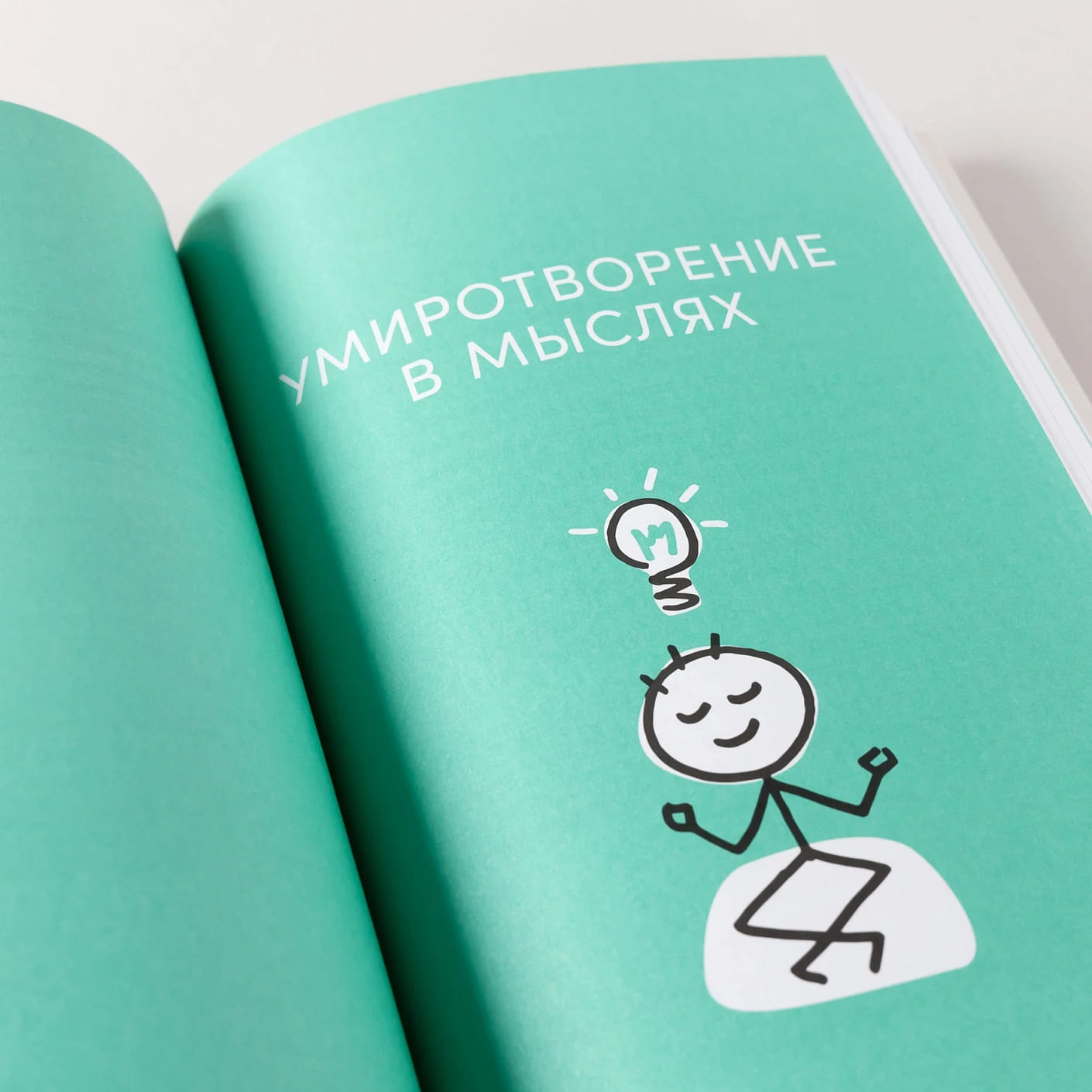 Мой спокойный год: Техники для приведения в порядок своих чувств, мыслей и поступков