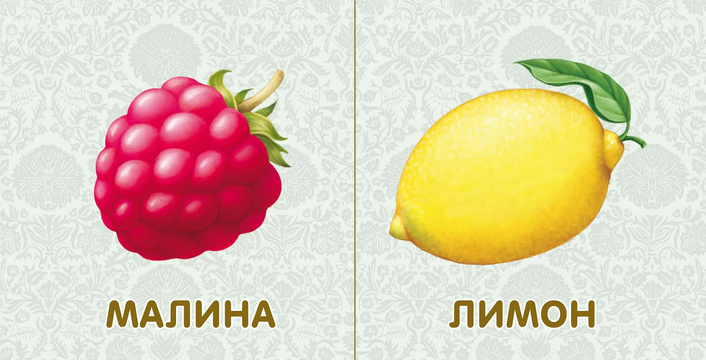 Книжки-картонки. Фрукты и овощи