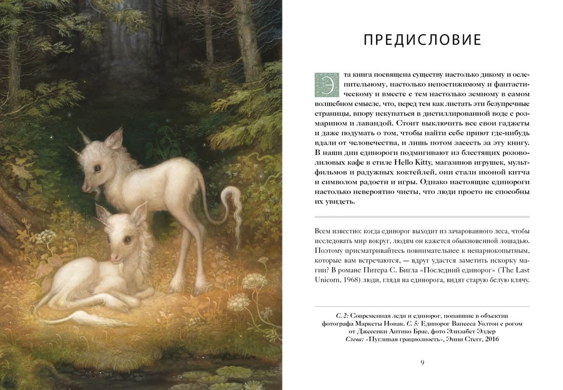 Книга Единорогов. Волшебный путеводитель по страницам фолиантов, глубинам тайных знаний и вершинам изящных искусств