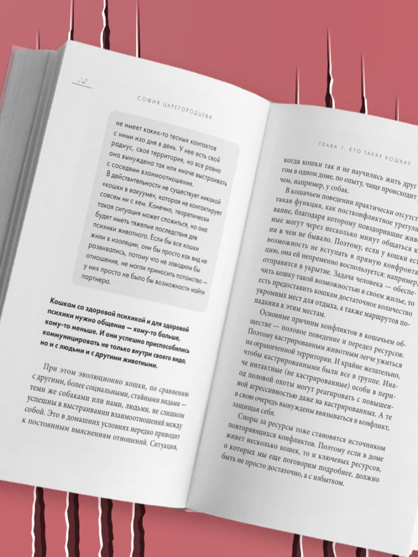 Кошачий закон и порядок. Как найти общий язык с кошкой и не стать жертвой её капризов