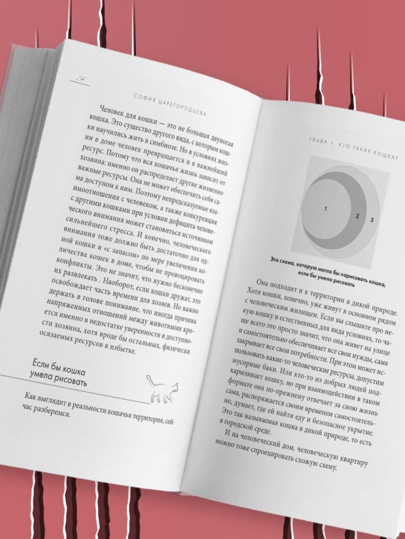 Кошачий закон и порядок. Как найти общий язык с кошкой и не стать жертвой её капризов