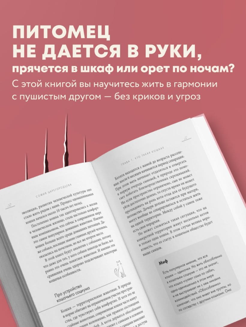 Кошачий закон и порядок. Как найти общий язык с кошкой и не стать жертвой её капризов