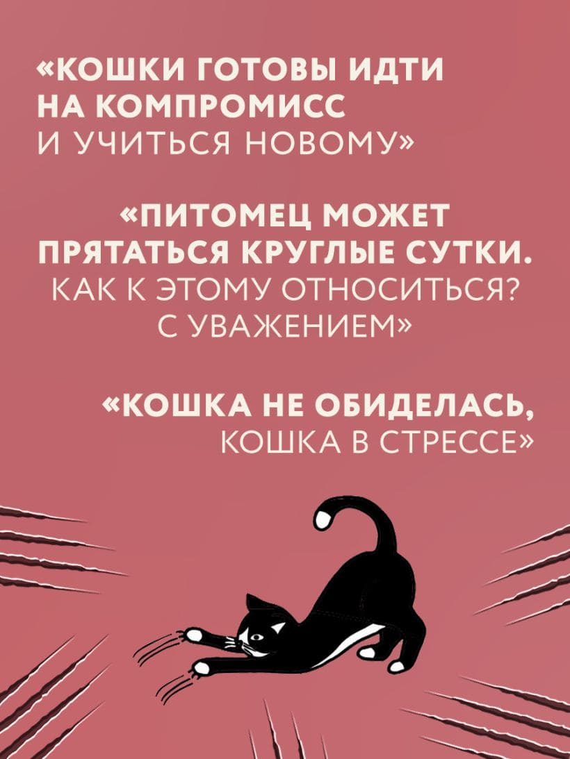 Кошачий закон и порядок. Как найти общий язык с кошкой и не стать жертвой её капризов