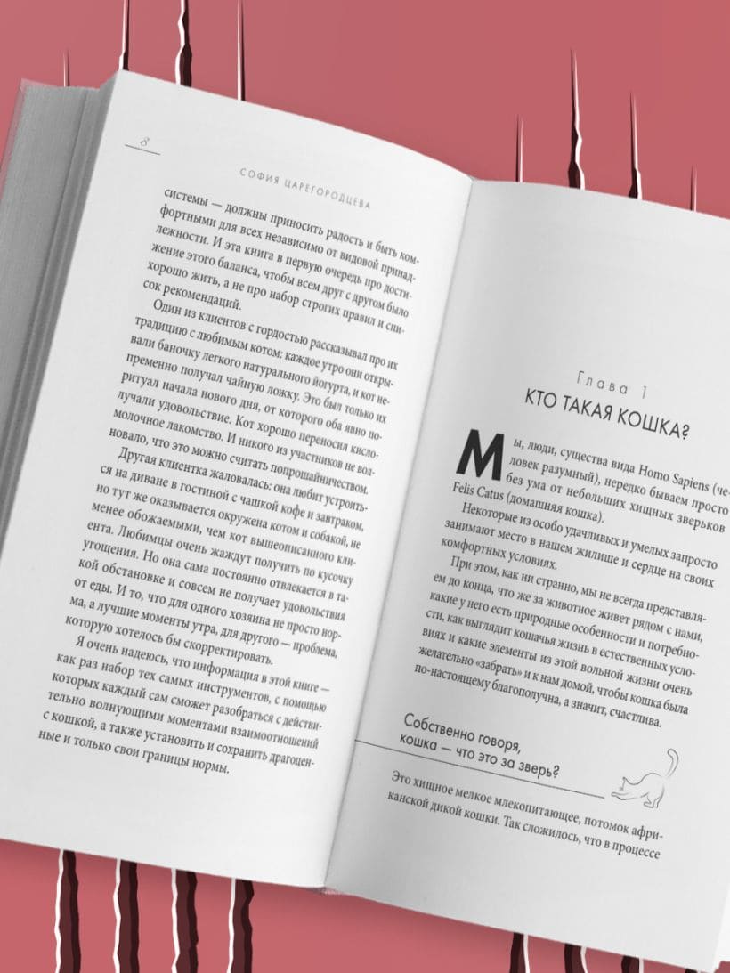 Кошачий закон и порядок. Как найти общий язык с кошкой и не стать жертвой её капризов