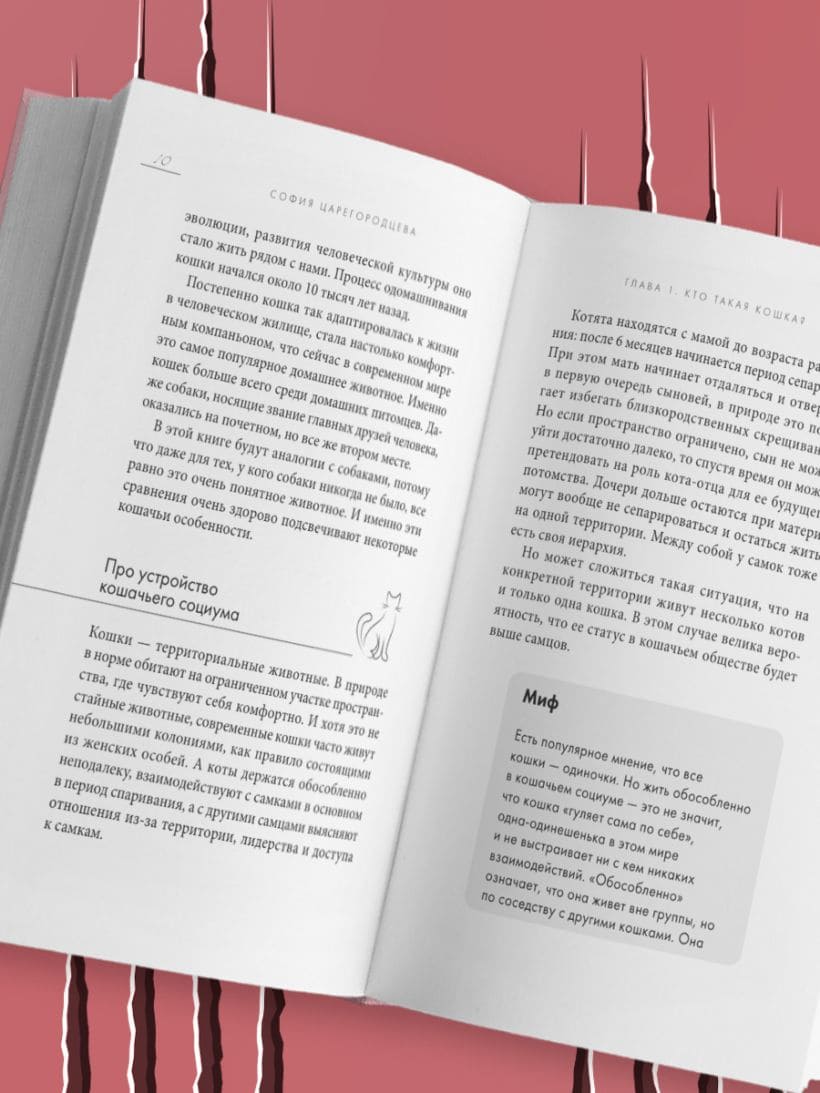 Кошачий закон и порядок. Как найти общий язык с кошкой и не стать жертвой её капризов