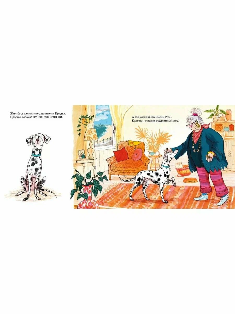 Больничная собака