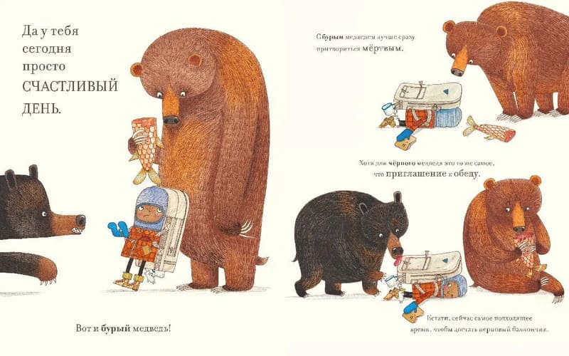 Практическая медведология для начинающих