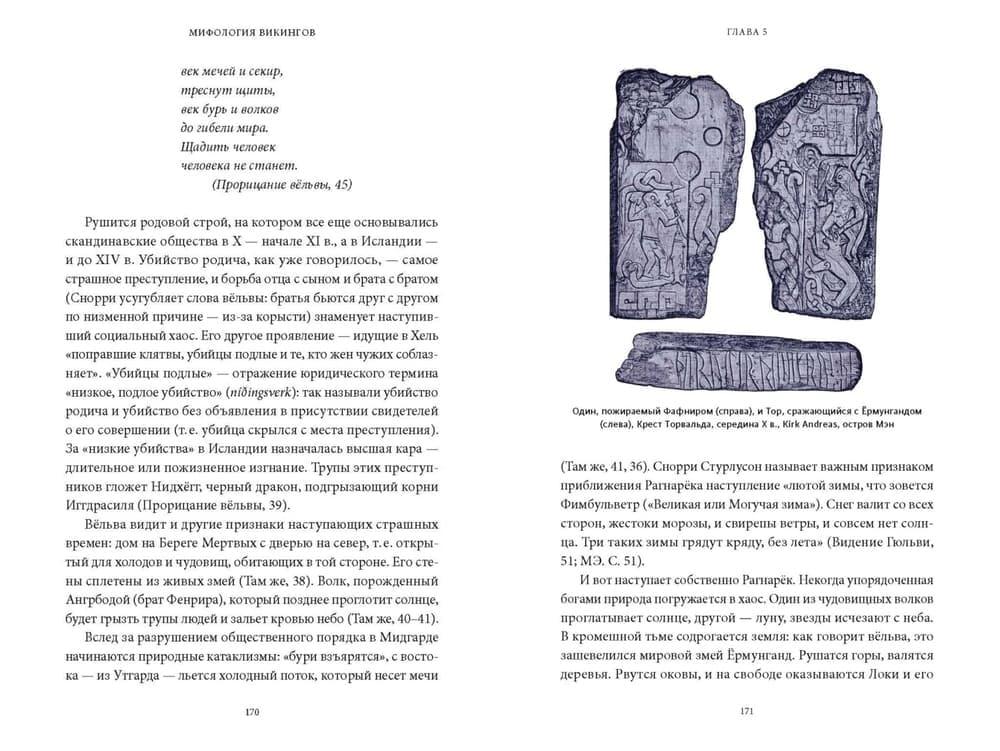 Мифология викингов. От кошек Фрейи и яблок Идунн до мировой бездны и «Сумерек богов»