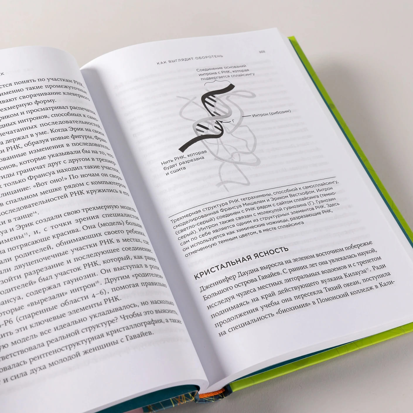 Первая молекула: Как РНК раскрывает главные тайны биологии