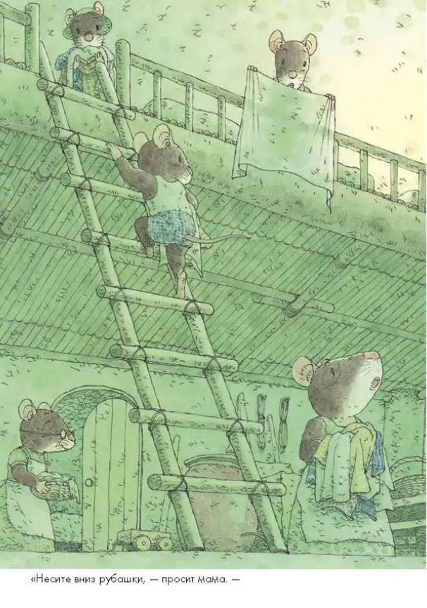 14 лесных мышей. Стирка