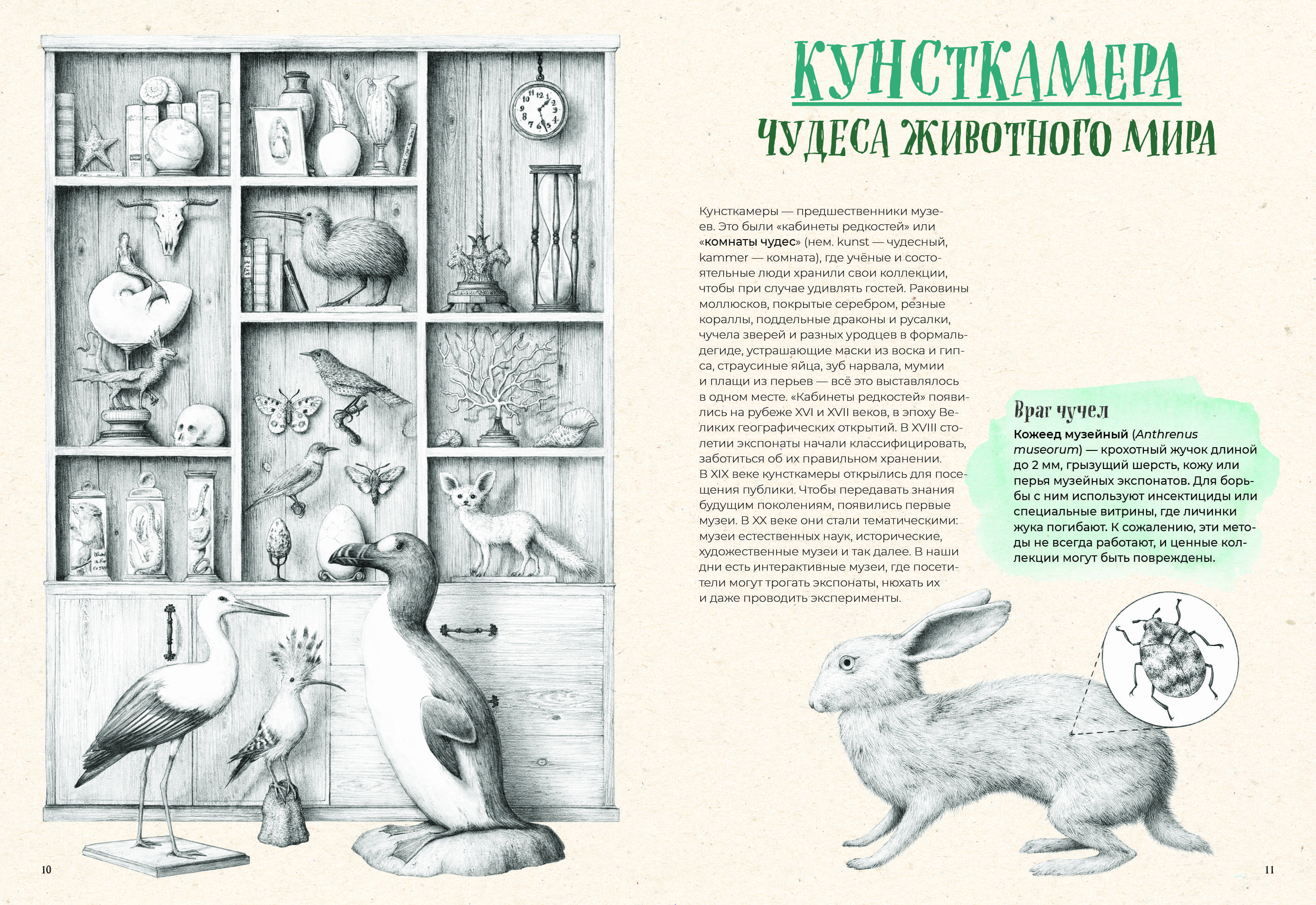На грани исчезновения: животный мир Земли
