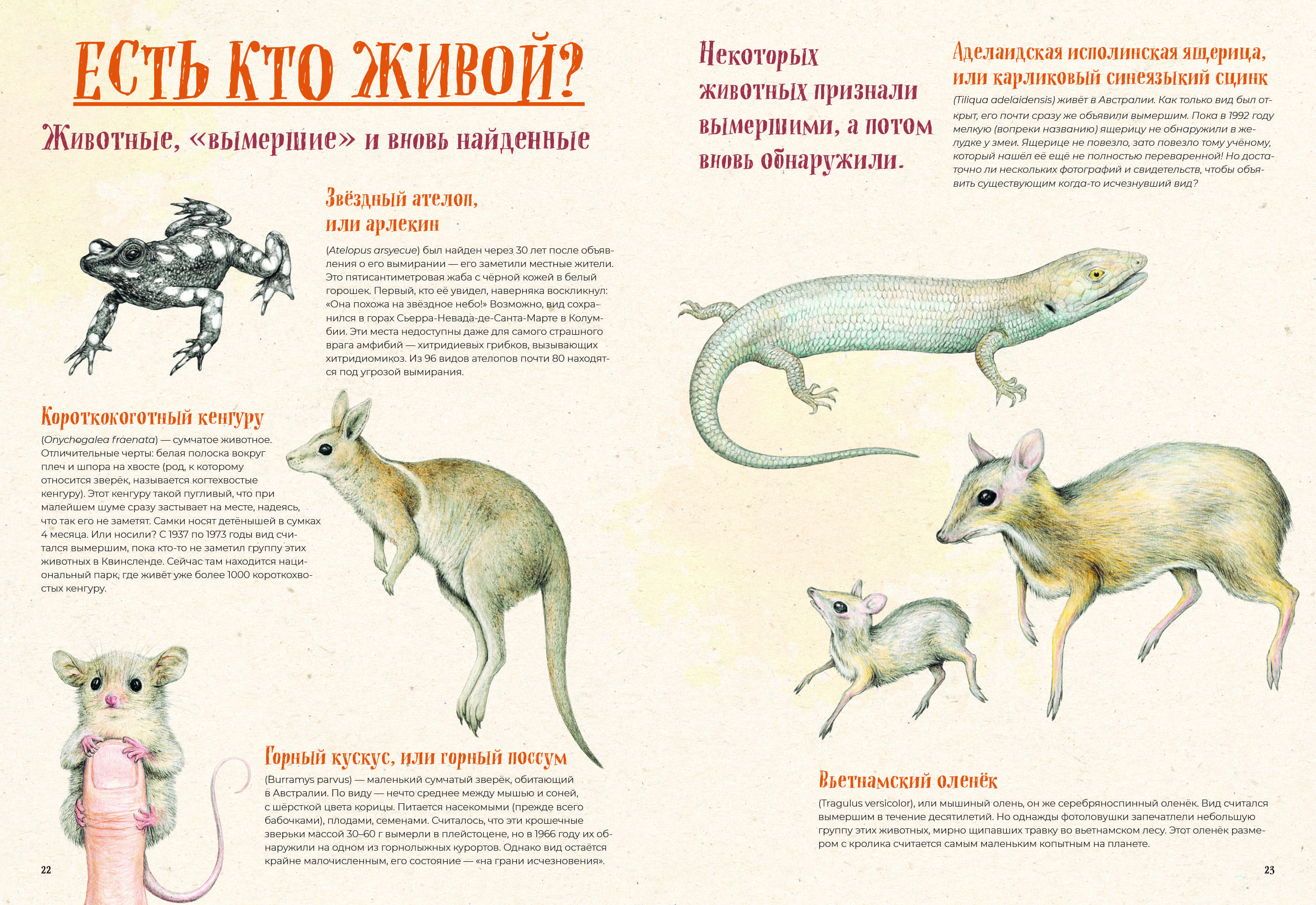 На грани исчезновения: животный мир Земли