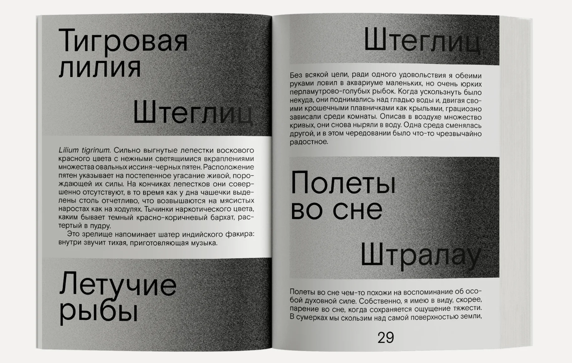 Сердце искателя приключений