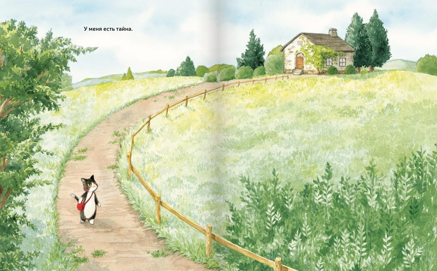 Тайна котика