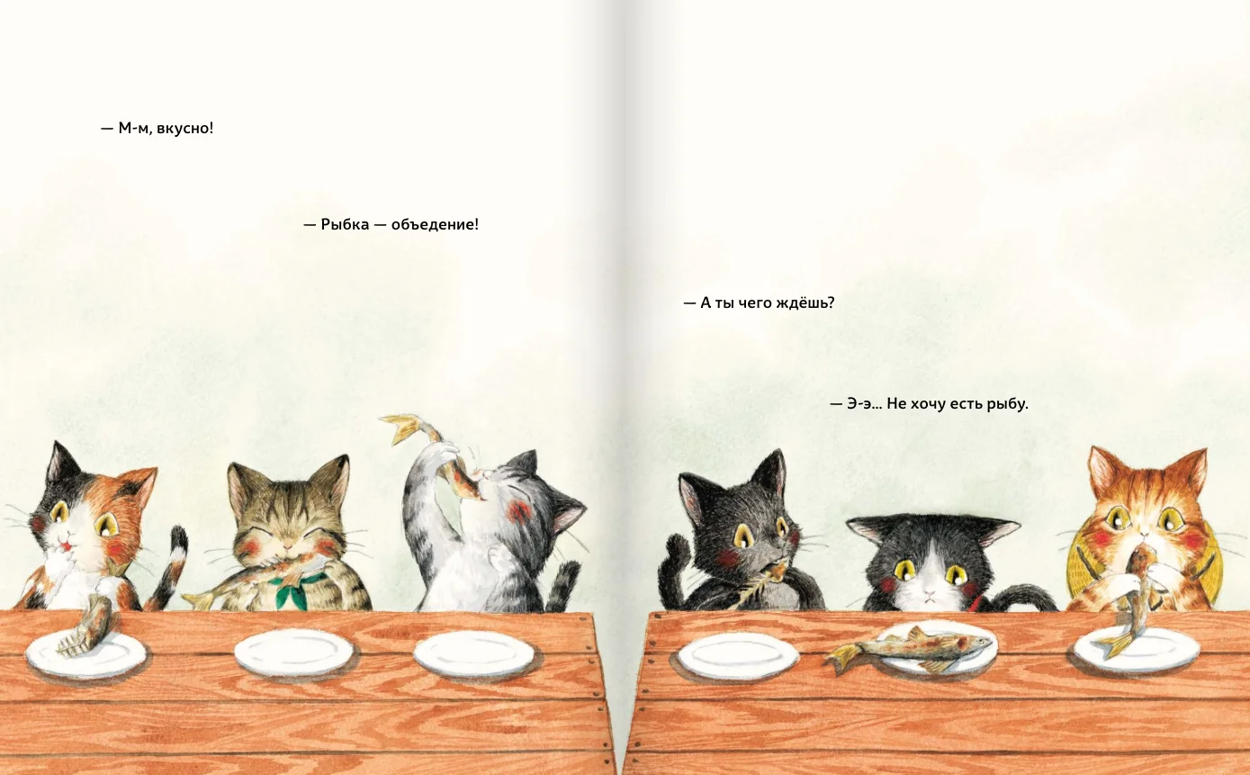 Тайна котика